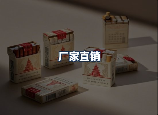 专业团队办公环境